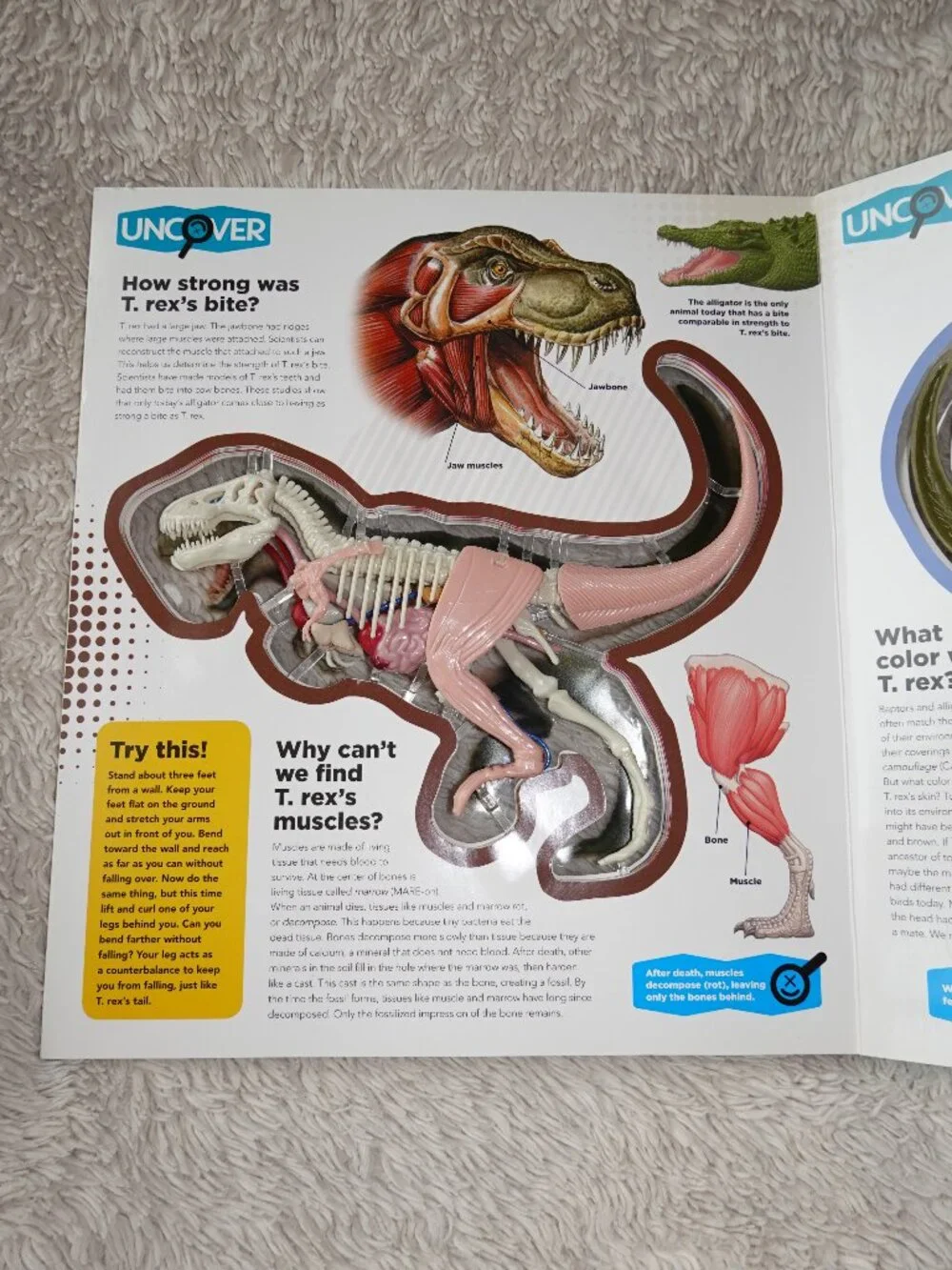 Uncover a T.Rex Hardcover 3D Book and Model